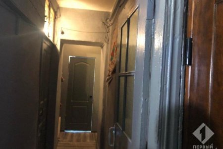 Бросали отходы в окна и убивали щенков: на Жуковского спасли девятерых собак, которых содержали в антисанитарии и взаперти