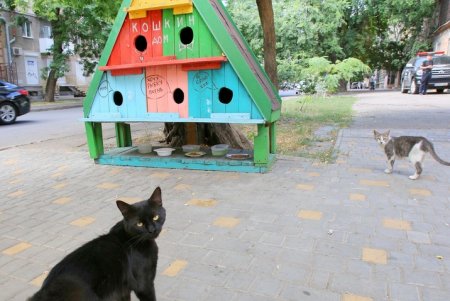 Воскресная прогулка по Спиридоновской (фоторепортаж)