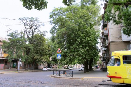 Воскресная прогулка по Спиридоновской (фоторепортаж)