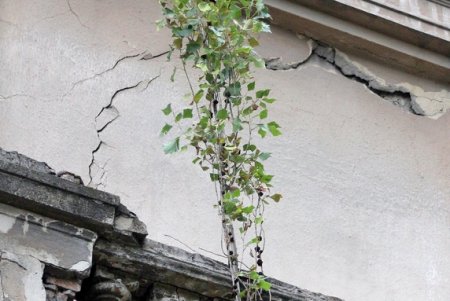 Воскресная прогулка по Спиридоновской (фоторепортаж)