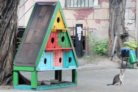 Воскресная прогулка по Спиридоновской (фоторепортаж)