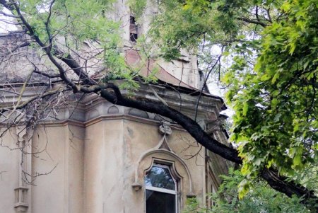 Воскресная прогулка по Спиридоновской (фоторепортаж)