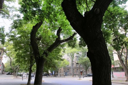 Воскресная прогулка по Спиридоновской (фоторепортаж)