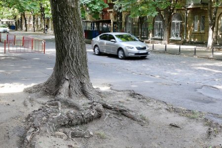 Воскресная прогулка по Спиридоновской (фоторепортаж)
