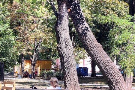 Благоустройство сквера у кинотеатра «Вымпел» (фоторепортаж)