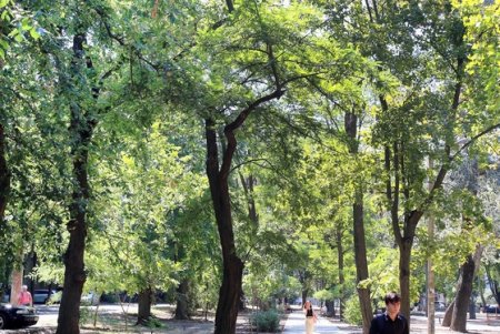 Благоустройство сквера у кинотеатра «Вымпел» (фоторепортаж)