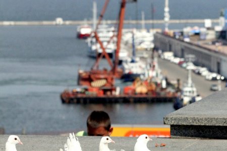 В Одессе стартовала традиционная ярмарка ко Дню Независимости (фоторепортаж) 