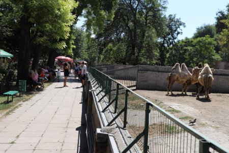 Ко дню города откроют мемориальный комплекс в Преображенском парке и новый вход в зоопарк (фото)
