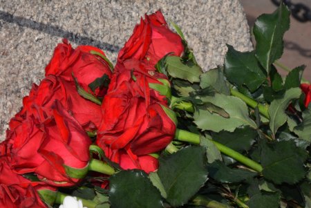 Почетные граждане города возложили цветы к памятникам основателям Одессы (фото)