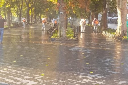 Перед праздничными мероприятиями коммунальщики провели масштабную дезинфекцию в центре Одессы (фото, видео)