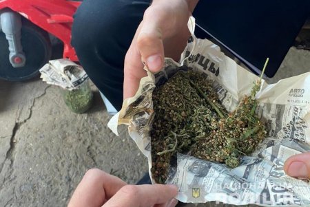 В Ренийском районе обнаружены плантации конопли, готовый наркосодержащий порошок и устройство для его использования (фото, видео)