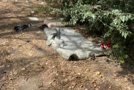 Ребенок с ограниченными возможностями и его родители три дня жили в одесском парке под забором (фото)