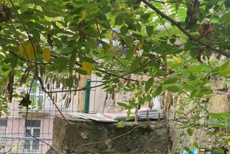 Ребенок с ограниченными возможностями и его родители три дня жили в одесском парке под забором (фото)
