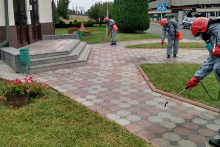 На Одесском припортовом заводе, где выявлен очаг коронавируса, провели дезинфекцию (фото)