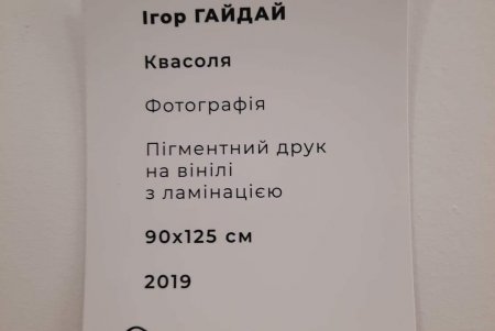 Истина не в вине: в Одесском художественном музее прошла выставка фотографий зерен