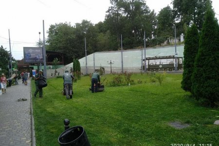 Коммунальщики следят за чистотой в парках и скверах, ежедневно дезинфицируют детские и спортплощадки (фото)