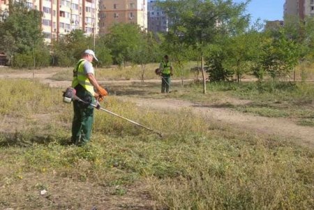 Убрали мусор и выкосили сорняки: коммунальщики привели в порядок парк Энтузиастов (фото)
