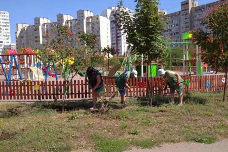 Убрали мусор и выкосили сорняки: коммунальщики привели в порядок парк Энтузиастов (фото)