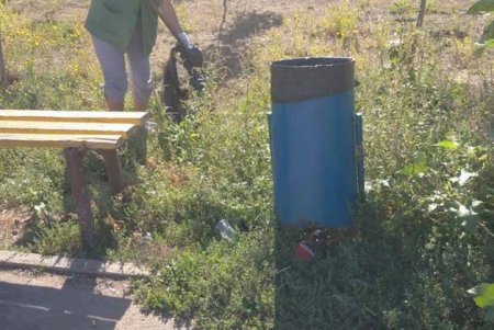 Убрали мусор и выкосили сорняки: коммунальщики привели в порядок парк Энтузиастов (фото)