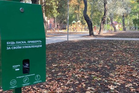 Сквер возле кинотеатра «Вымпел» озеленили и отремонтировали в нем площадки для проведения массовых мероприятий (фото)