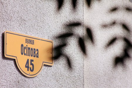 Одесская столетняя софора получила паспорт (фоторепортаж)