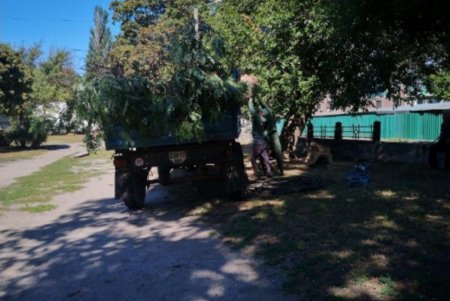 На Молдаванке восстанавливают скамейки, очищают ливневки и убирают аварийные ветки (фото)