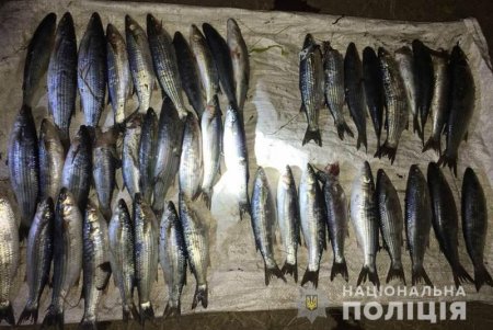 Браконьер ловил рыбу в заповедной зоне Татарбунарского района, но сам угодил «в сети» правоохранителей
