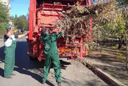 Коммунальщики очистили парк Энтузиастов от мусора (фото)