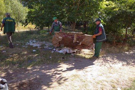 Коммунальщики очистили парк Энтузиастов от мусора (фото)