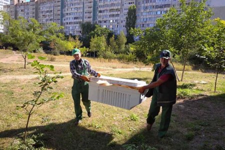 Коммунальщики очистили парк Энтузиастов от мусора (фото)