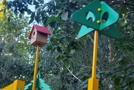 Во дворе Приморского района установили детскую и баскетбольную площадку, высадили цветы и кустарники (фото)