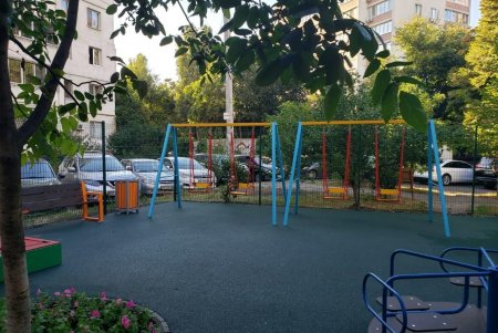 Во дворе Приморского района установили детскую и баскетбольную площадку, высадили цветы и кустарники (фото)