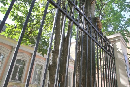 Улица Садовая: сегодня уже без садов, зато с отреставрированными историческими зданиями (фоторепортаж)