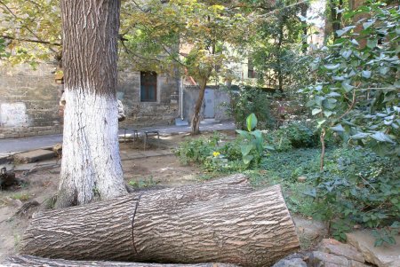 Улица Садовая: сегодня уже без садов, зато с отреставрированными историческими зданиями (фоторепортаж)