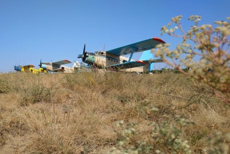 Для диких животных с самолетов сбросили почти 600 тысяч доз вакцин против бешенства (фото)