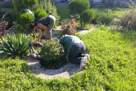 Коммунальщики ежедневно ухаживают за парками и скверами (фото)