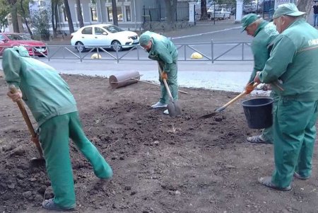 Коммунальщики ежедневно ухаживают за парками и скверами (фото)