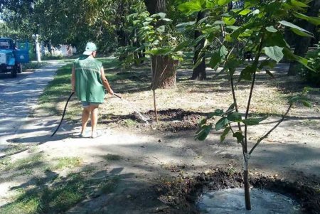 Коммунальщики ежедневно ухаживают за парками и скверами (фото)