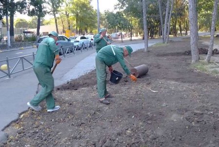 Коммунальщики ежедневно ухаживают за парками и скверами (фото)
