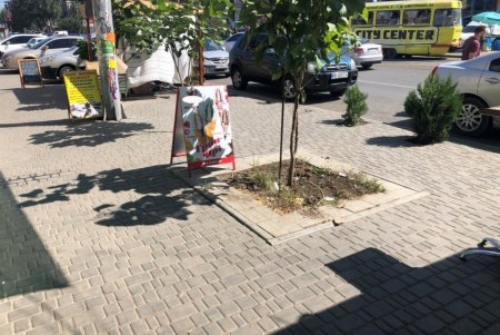 Незаконные МАФы, а также стихийные рынки убраны с улиц и зеленых зон города (фото)