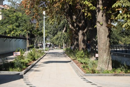 Открыта первая очередь благоустройства бульвара Жванецкого (фоторепортаж)