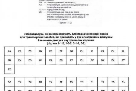 Владельцам электрокаров уже выдают зеленые номерные знаки