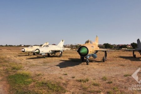 Авиамузей пополнился уникальными самолетами: их обещают показывать организованным экскурсиям (фото)