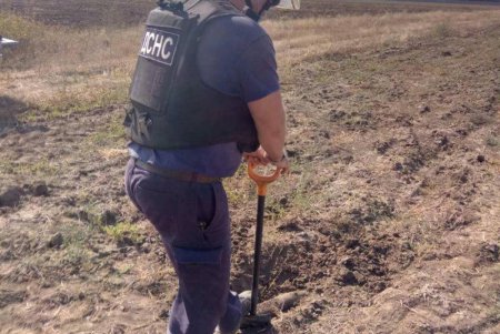 За один день в Беляевском районе местные жители нашли в поле три артиллерийских снаряда военных времен (фото)