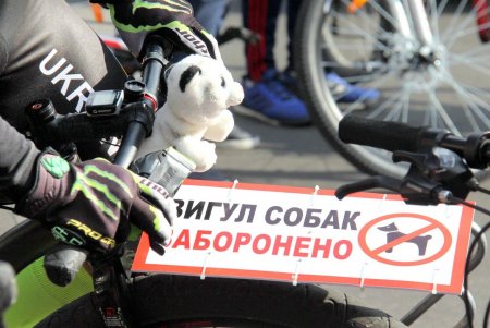 Сто километров по Поясу Славы: в парке Шевченко стартовали пеший переход и велоралли (фоторепортаж)