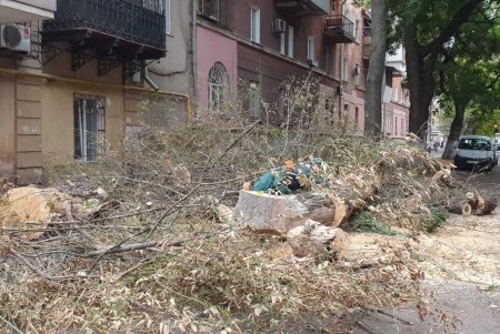 На Молдаванке убрали аварийное дерево, которое нависало над домом (фото)