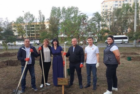 В Киевском районе высадили аллею серебряных кленов (фото)