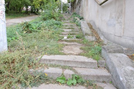 Градоначальницкая: улица, ведущая к Дюковской даче Ришелье (фоторепортаж) 