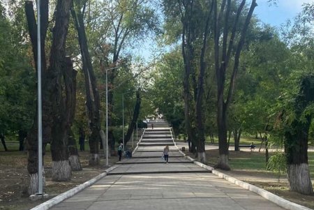 Чистят водоемы, меняют освещение, ремонтируют тротуары: Дюковский парк благоустраивают (фото)