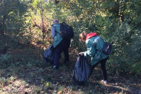 На въездах в город коммунальщики убрали мусор и очистили дождеприемники (фото)